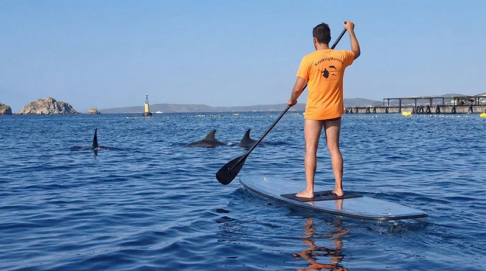 Noleggio Sup Golfo Aranci Sup-Noleggio-Golfo-Aranci-Cal-Moresca